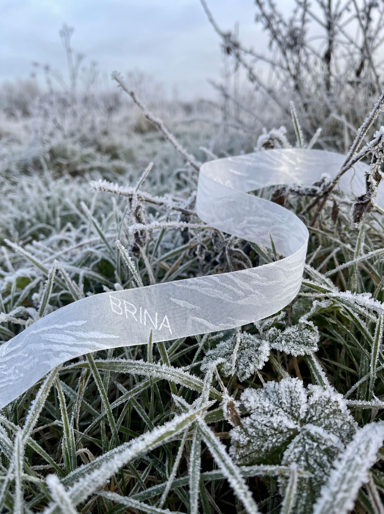 BRINA: The Quiet Frost of Textile Innovation – EMMETEX ETICHETTIFICIO