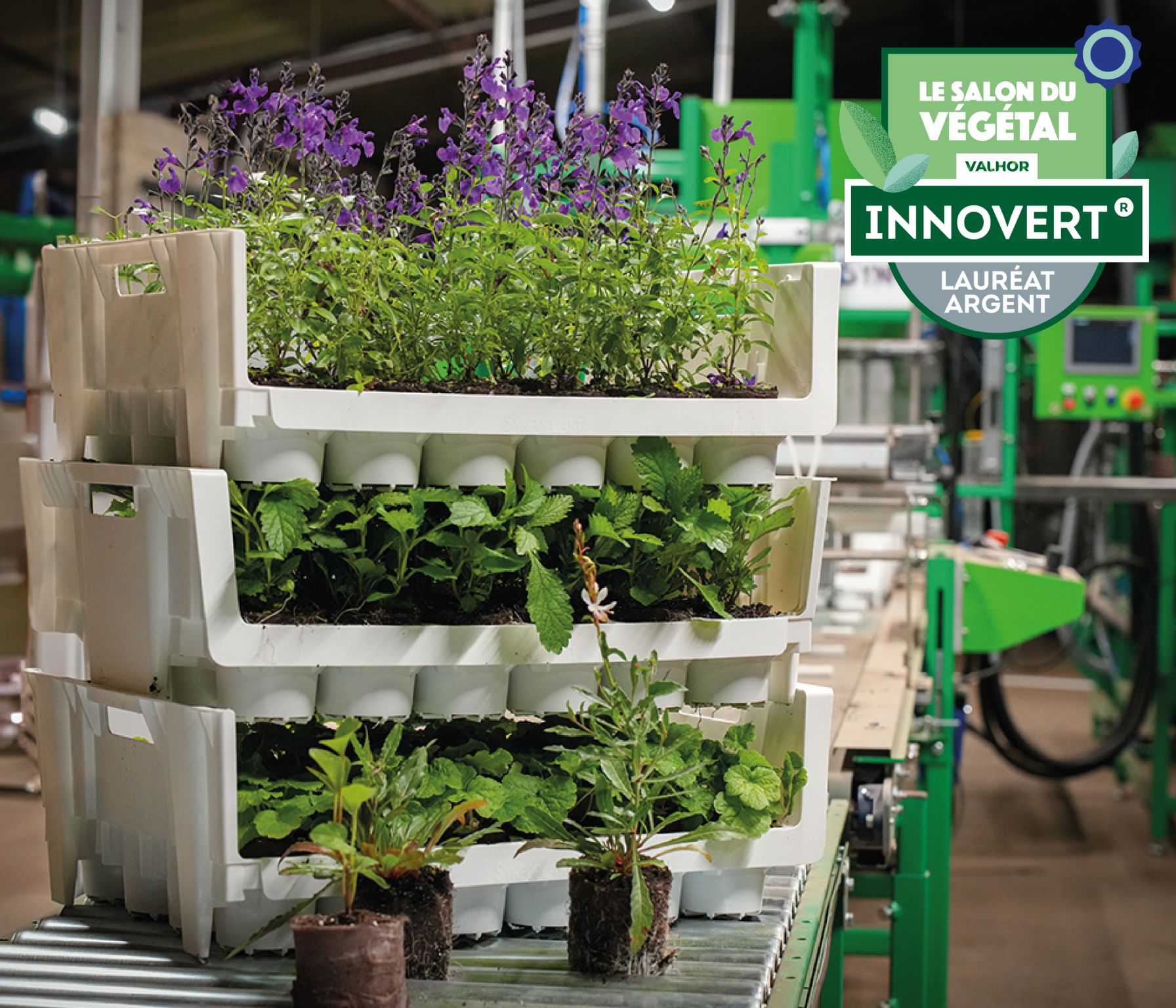 Synfoplant, la plaque réutilisable qui remplace les godets plastiques des vivaces – Exposant
