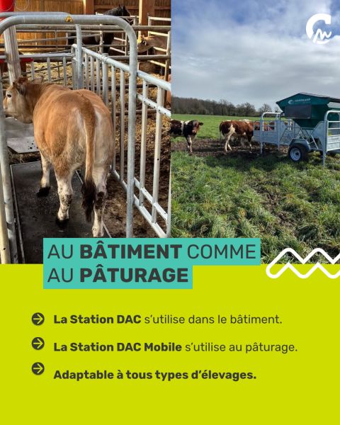 DAC Mobile : automatiser la distribution des concentrés pour réduire les astreintes – HANSKAMP AGROTECH