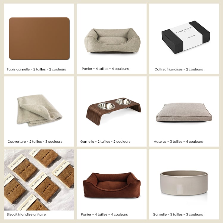Pet Hospitality Design pour l'accueil des chiens en hôtellerie – BAGANE